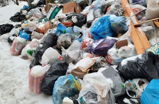 Переполненные мусорные баки продолжают беспокоить петербуржцев