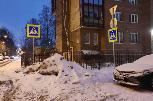 Прокуратура поможет пенсионерке получить компенсацию за падение на льду в Петербурге
