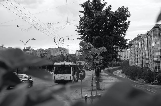 В Мурманске КАМАЗ оборвал провода и обесточил троллейбусную линию