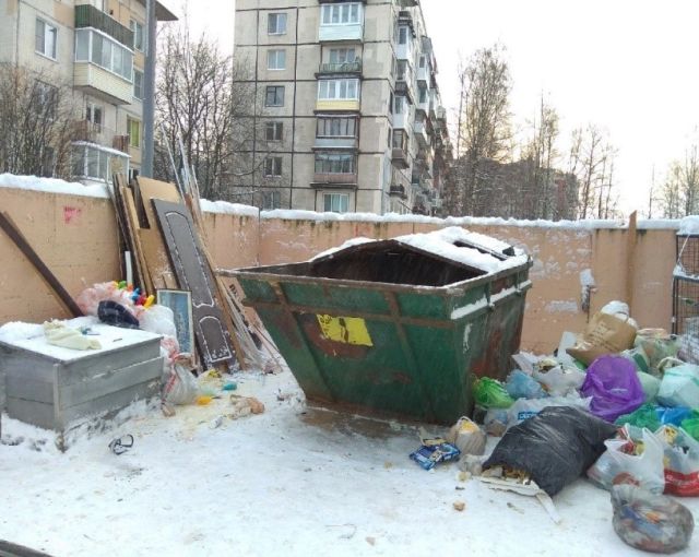 Смольный провалил мусорную реформу в Петербурге