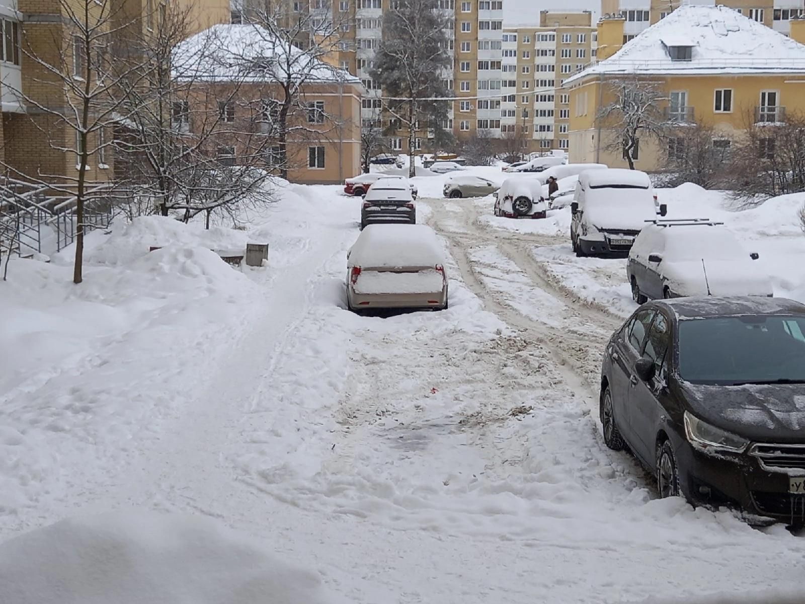 Блокадница Балагурова потребовала навести порядок с уборкой Петербурга от снега и льда