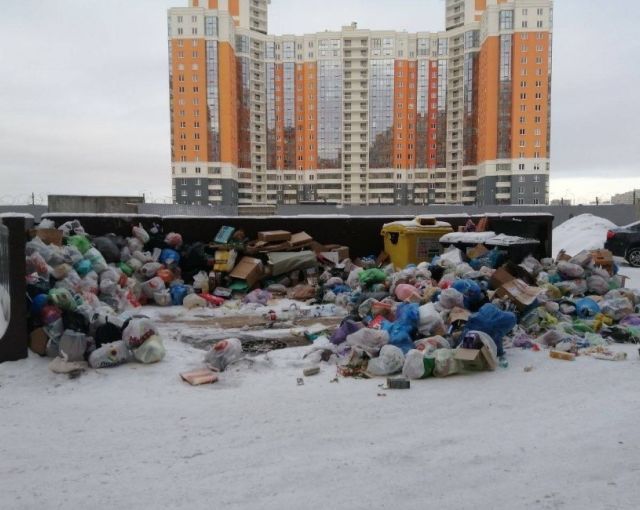 Петербуржцы массово жалуются на прошлогодний мусор во дворах