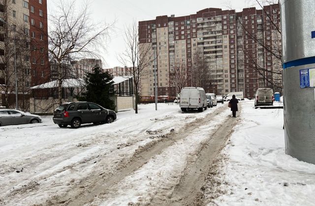 Общественник Мазуров назвал Петербург «откровенно враждебным» городом из-за некачественной работы по уборке снега и наледи