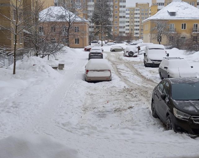 Жители Петербурга боятся, что из-за снежных завалов во дворах к ним не сможет проехать скорая