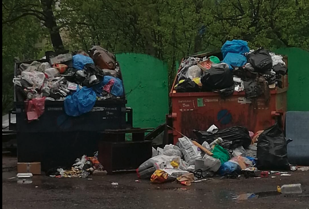 Контейнерные площадки в поселке Славянка на юге Петербурга завалены горами мусора