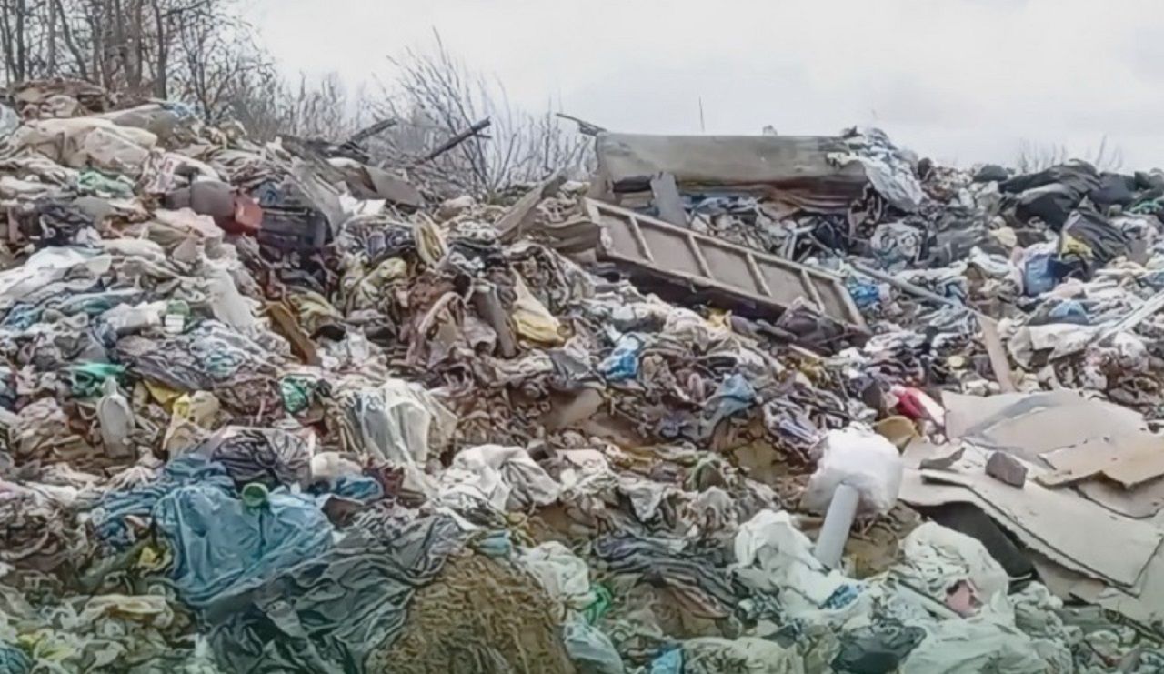 Ущерб от свалки в псковской деревне составил более 1 млн рублей