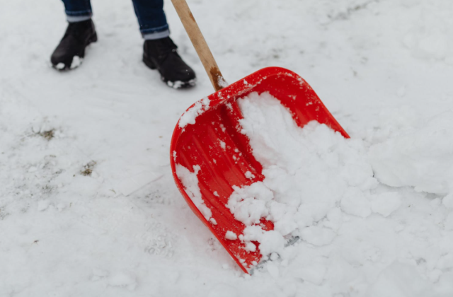 Дятлова извинилась за долгую уборку снега перед жителями Калининграда