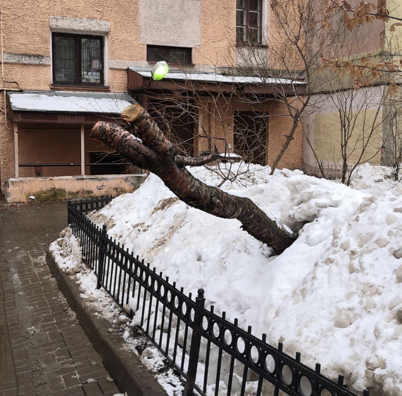 Коммунальщики держат марку и завалили газоны грязным снегом к «радости» петербуржцев