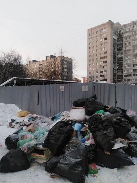 РЭО признал несостоятельной работу «Невского экологического оператора» по уборке мусора в Северной столице