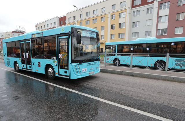 Новые автобусы от Смольного стали чаще создавать опасные ситуации на дорогах