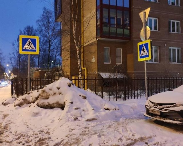 <strong>Смольный завысил показатели по вывозу снега с петербургских улиц </strong>