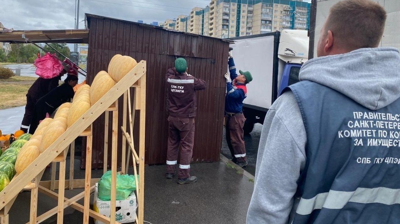 В Петербурге закрыли около 40 нелегальных лотков с арбузами