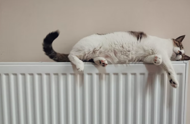 Отопление в домах в Мурманске появится с 1 сентября