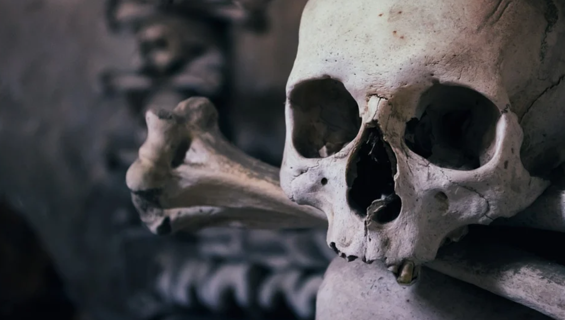 Человеческий череп найден на Куршской косе
