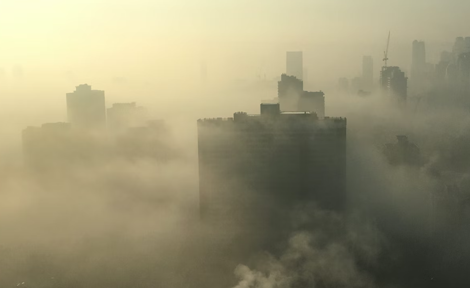 Роспотребнадзор оценил качество воздуха в Калининграде