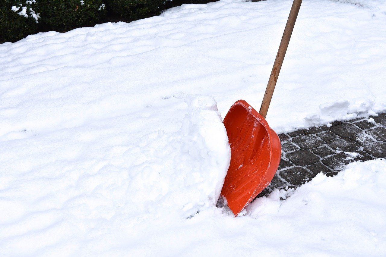 Утром 28 ноября на улицах Петербурга не было замечено снегоуборочной техники