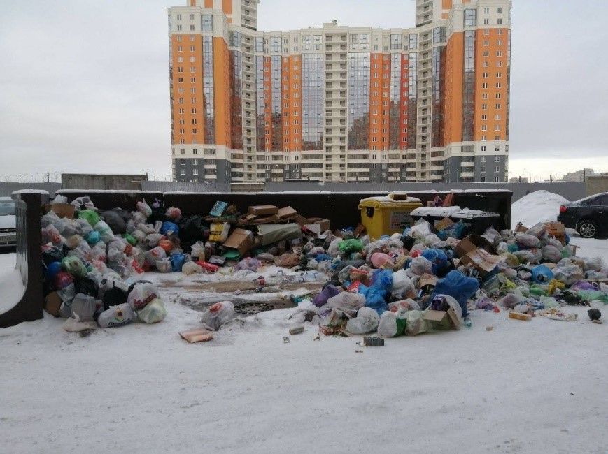 Петербуржцы продолжают жаловаться на горы мусора после извинений регоператора