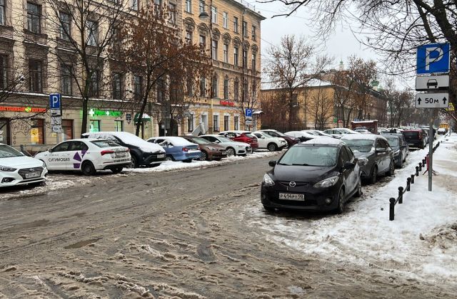 Петербуржцы не заметили 1000 снегоуборочных машин на улицах города