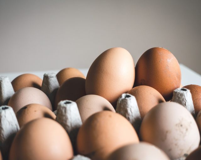 В Калининградскую область не будут завозить куриные яйца из других стран
