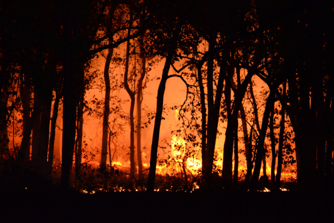 76 лесных пожаров зарегистрировано в Карелии с начала пожароопасного сезона