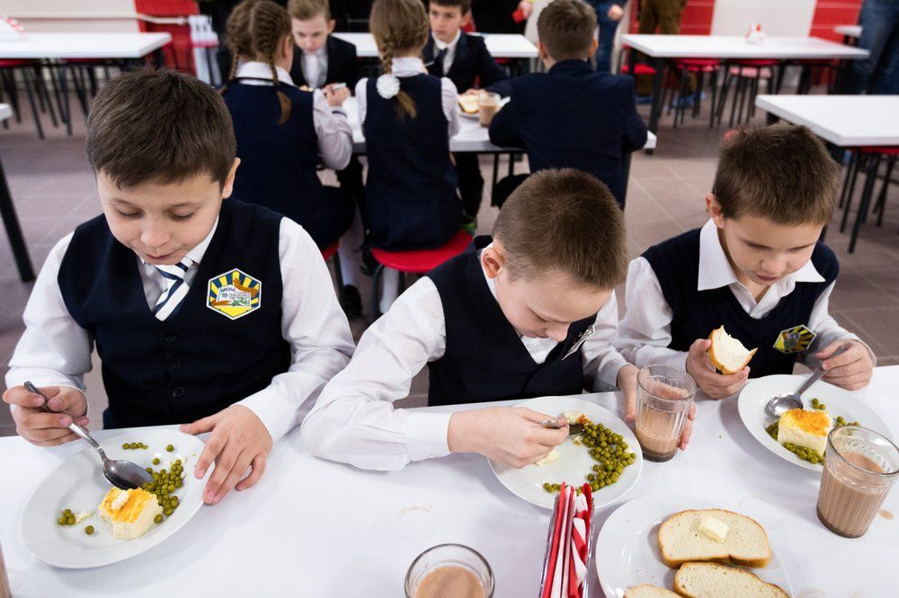 Отчет РПН указал на серьезные проблемы в системе школьного питания в Ленобласти