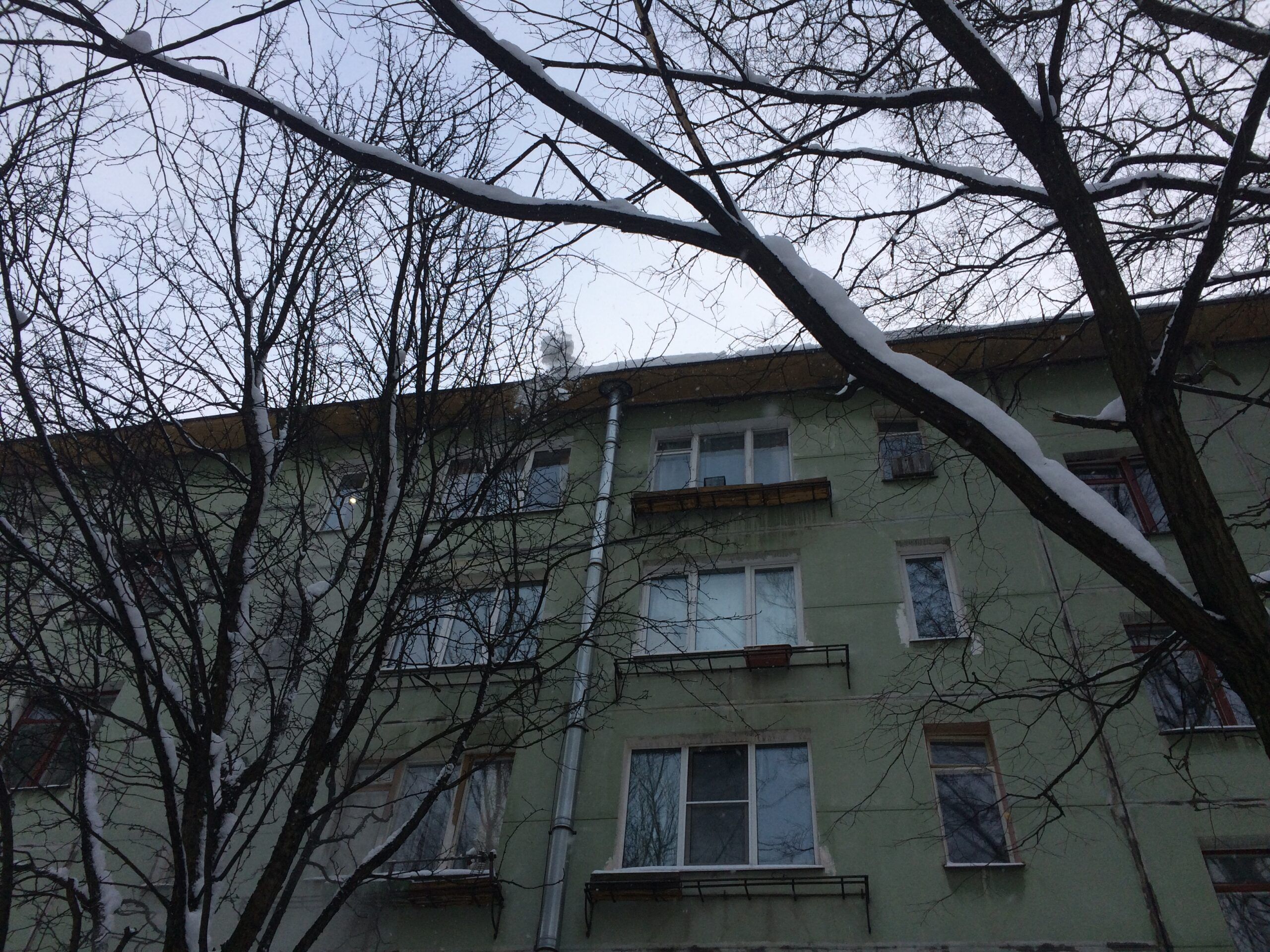 Сорвавшаяся с крышы на Большом Сампсониевском проспекте ледяная глыба убила дворника