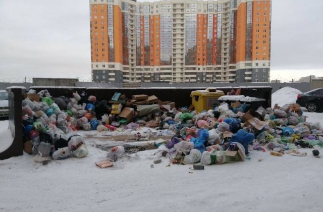 Петербуржцы продолжают жаловаться на горы мусора после извинений регоператора