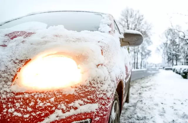 Петербуржцы бесплатно убирают снег из-за провальной программы «дворник-шеринг»