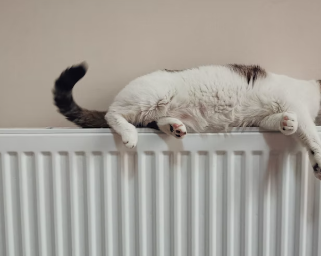 Отопление в домах в Мурманске появится с 1 сентября