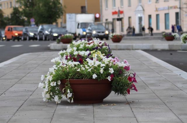 Центр Пскова украсили вазонами с цветами