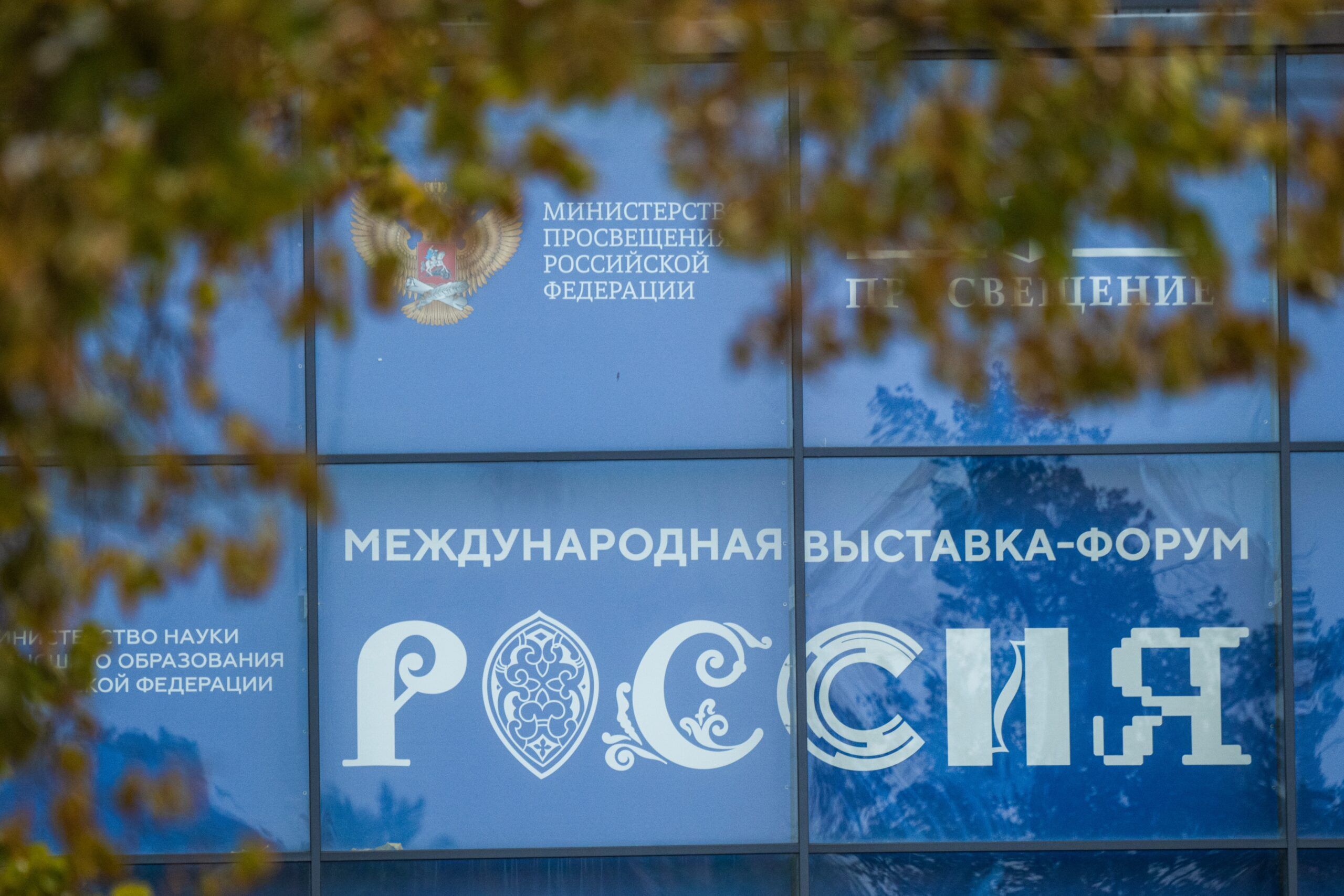 Уроженец Еревана борется за гражданство РФ: первый иск в Петербурге по делу о лишении паспорта за преступление