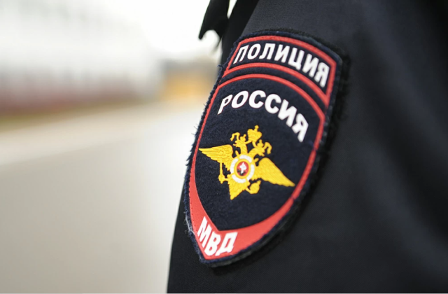 Полиция проверит обстоятельства видео с мёртвой кошкой из Кировска