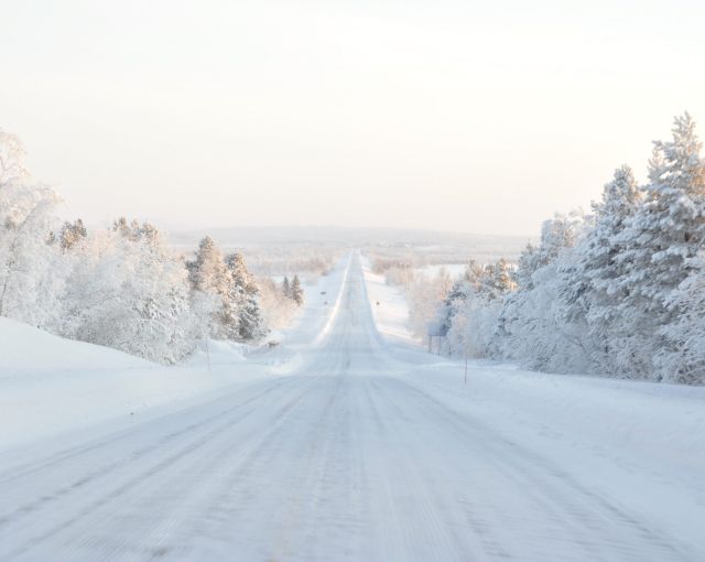 В Финляндии примут решение об открытии границы с РФ не позднее 13 декабря