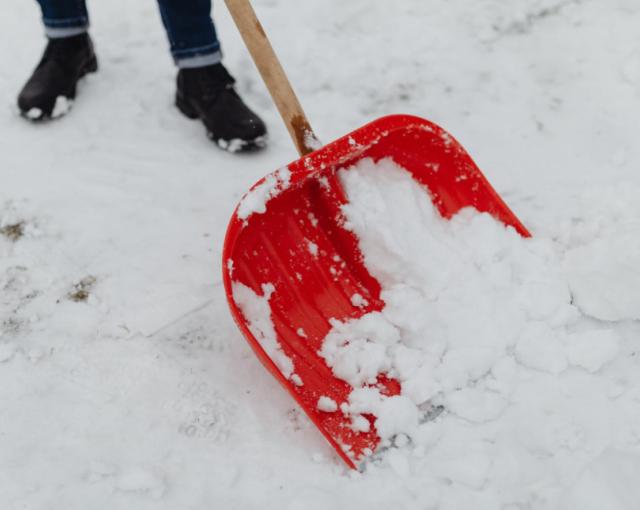 Дятлова извинилась за долгую уборку снега перед жителями Калининграда