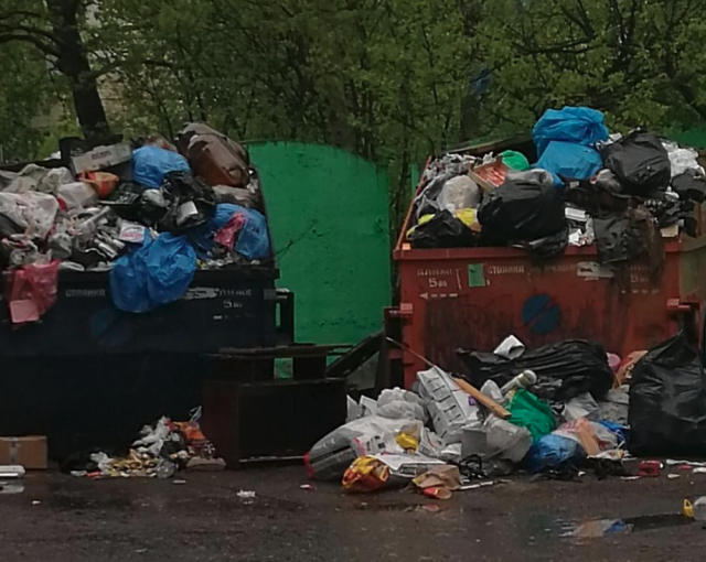 Жители Петербурга пожаловались на кучу мусора возле ж/д станции «Ручьи»